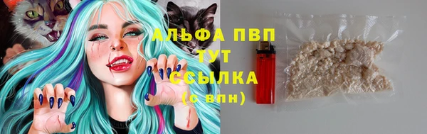 трава Аркадак