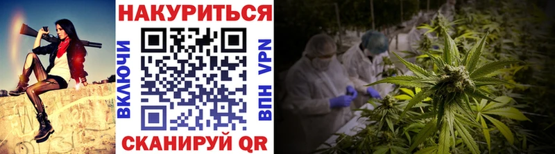 Шишки марихуана план  мега ТОР  Правдинск  наркошоп 